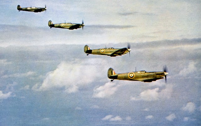 Aircraft of the R.A.F. and S.A.A.F. during World War II (8)