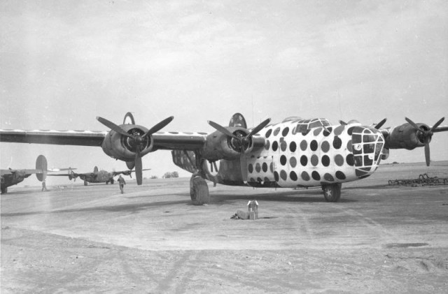 First_Sergeant_B-24D_Assembly_Ship_or_Judas_Goat