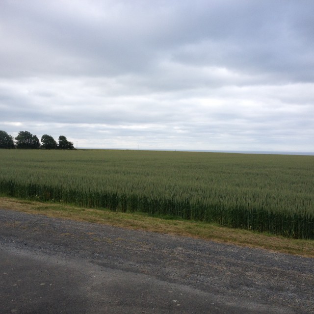 Cornfield Normandy ex airstrip A-2