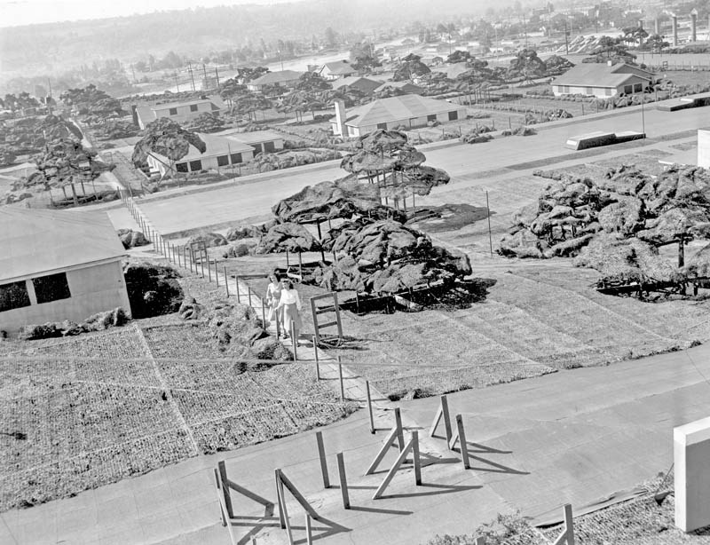 boeing-plant-hidden-netting-ww2-1