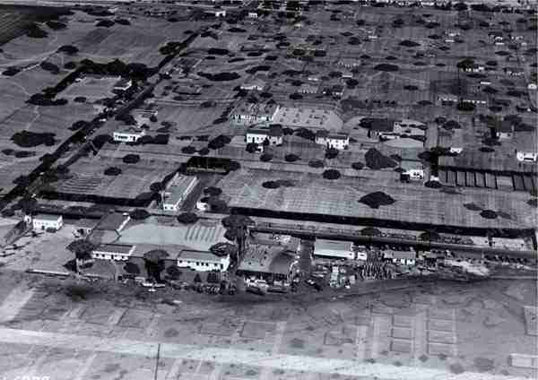 wwii-lockheed-covered-in-netting-2