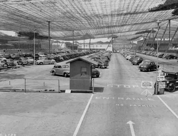 wwii-lockheed-covered-in-netting-5