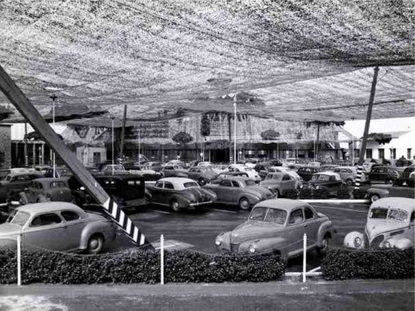 wwii-lockheed-covered-in-netting-8