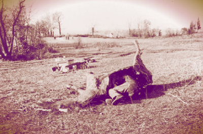 Image from camoupedia.blogspot.com