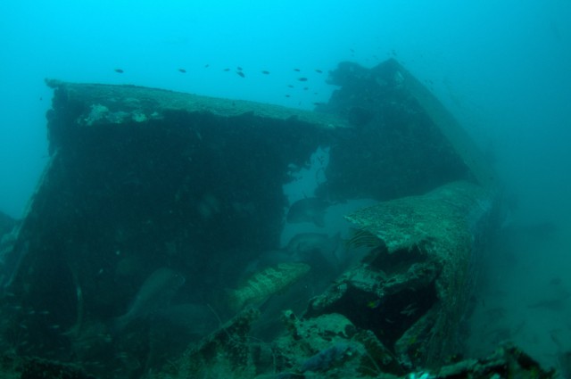The fuselage of Catalina A24-25. The aircraft was discovered in waters off Cairns in far North Queensland. Image supplied courtesy of Kevin Coombs, Cairns. *** Local Caption *** RAAF Catalina A2425 was lost on 28 February 1943. After 72 years, the wreck has been discovered off Cairns in far north Queensland. The aircraft will remain where it is as a mark of respect to the 11 airmen onboard who were lost. A memorial service will be held early next year, to honour the crew.