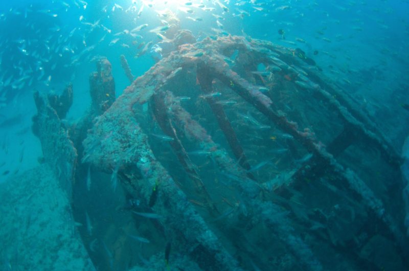 An engine mount from Catalina 24-25. The aircraft was discovered in waters off Cairns in far North Queensland.

Image supplied courtesy of Kevin Coombs, Cairns. *** Local Caption *** RAAF Catalina A2425 was lost on 28 February 1943. After 72 years, the wreck has been discovered off Cairns in far north Queensland. The aircraft will remain where it is as a mark of respect to the 11 airmen onboard who were lost.  A memorial service will be held early next year, to honour the crew.