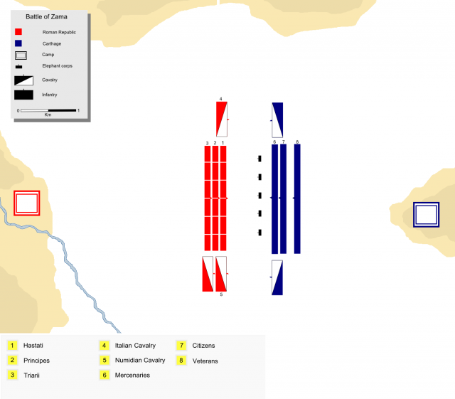 Mohammad_adil_rais-battle_of_zama-1