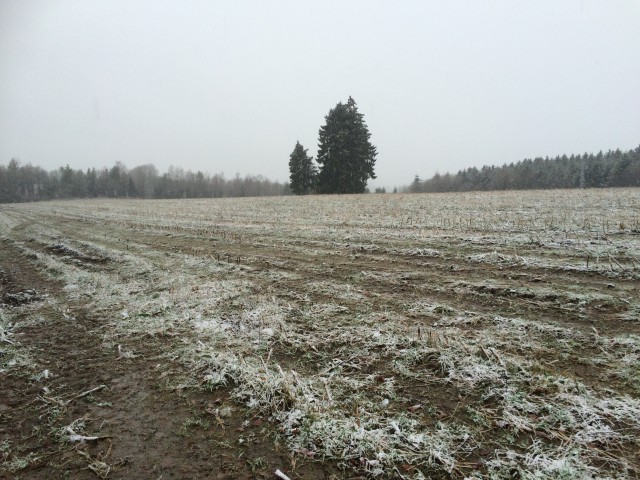 The field where the aid station was located.