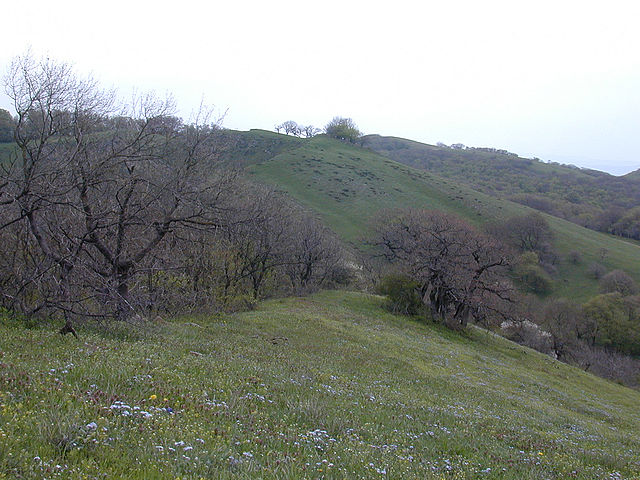 Site of the battle. By daduNI CC BY-SA 2.0