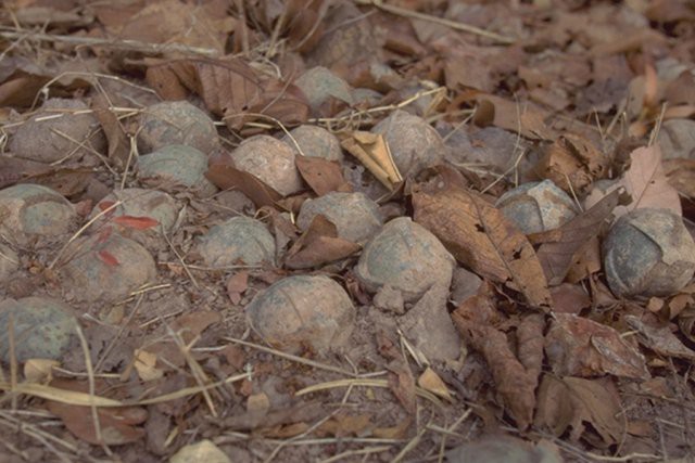 phoca_thumb_l_cluster_munitions3