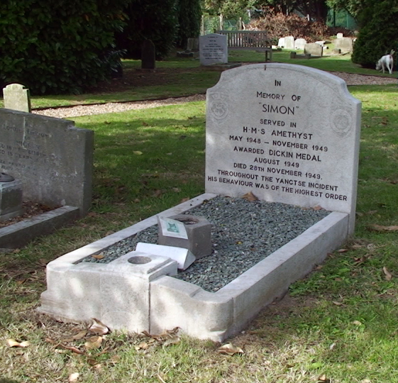 Simon's grave at the PDSA Animal Cemetery in Ilford