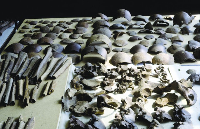a collection of some of the bones found at the site, most likely belonging to victims of the massacre following the battle