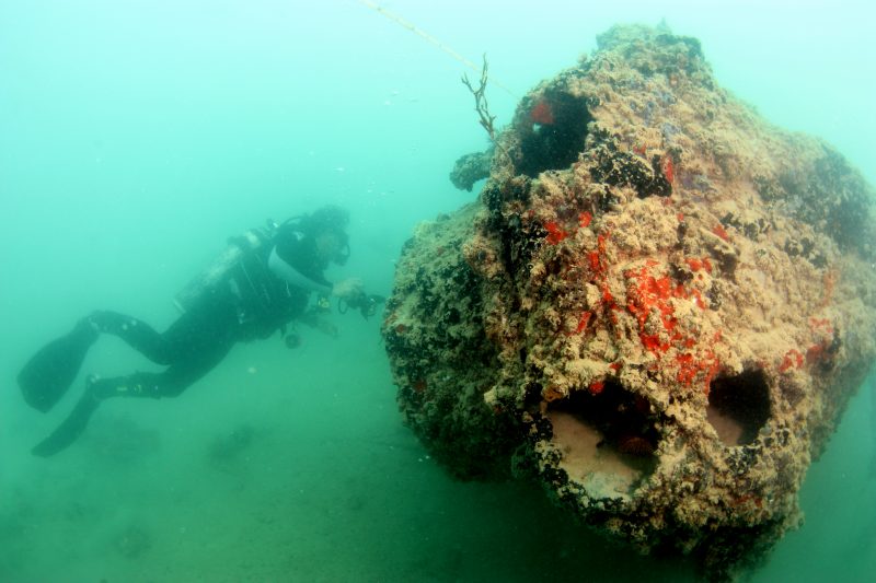 A diver examines the gunner's forward turret on a PBY-5 Catalina resting on its right side. 

Credit: UH Marine Option Program