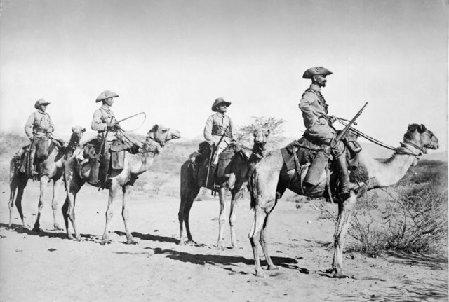 Camel Patrol