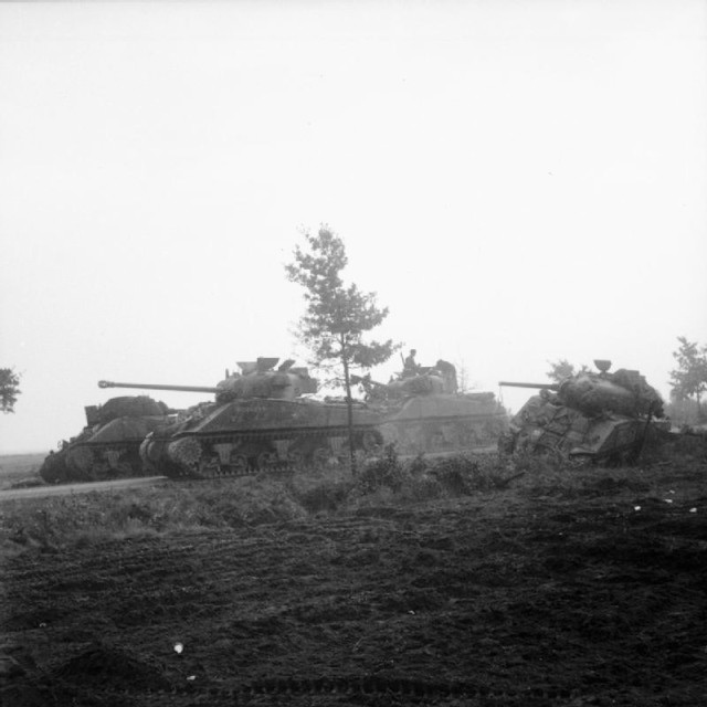 Sherman Tanks of the Irish Guard Armoured Division advance during Operation Market Garden via commons.wikimedia.org