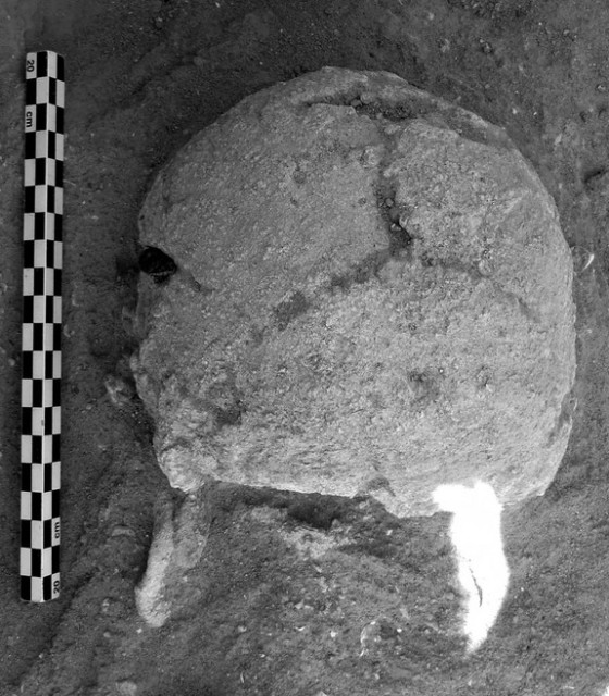 Skull showing a piece of the broken blade on the far left. Photo credit: Marta Mirazon Lahr