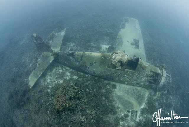 Grumman F6F-3 Hellcat, 