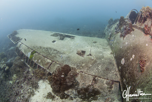 Grumman F6F-3 Hellcat, "Betsy II; downed Jan 29 1943 - Gizo, Solomon Islands.