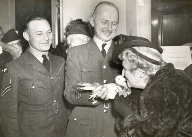 Gustav being awarded Dickin Medal