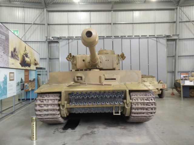 Face to face with Tiger 131