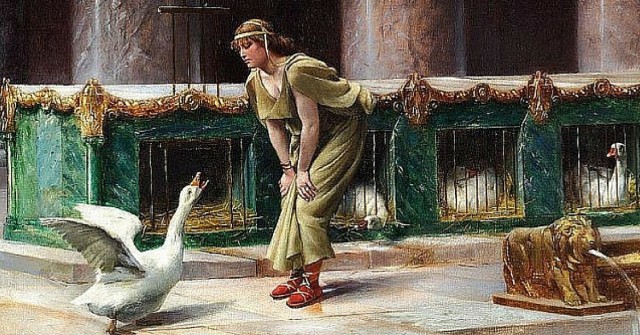 Holy Geese