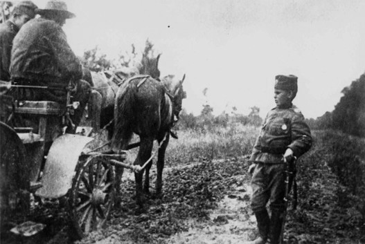 Wartime photograph from 1914 with Momčilo Gavrić.