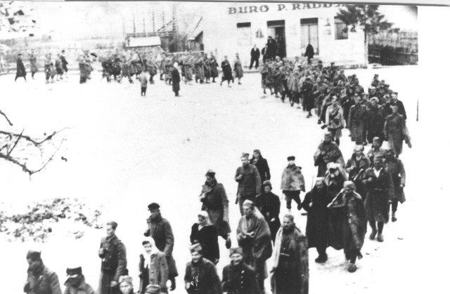 The column of Partisans in the Prozor