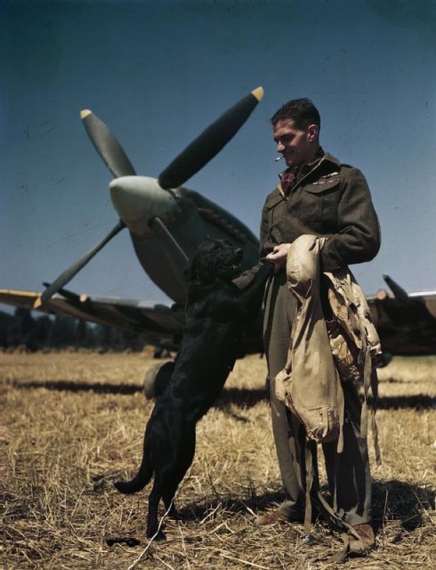 Wing_Commander_James_E_'johnny'_Johnson_at_Bazenville_Landing_Ground,_Normandy,_31_July_1944_TR2145