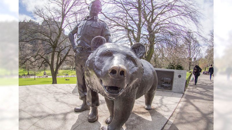 Wojtek the Bear. By Taras Young 