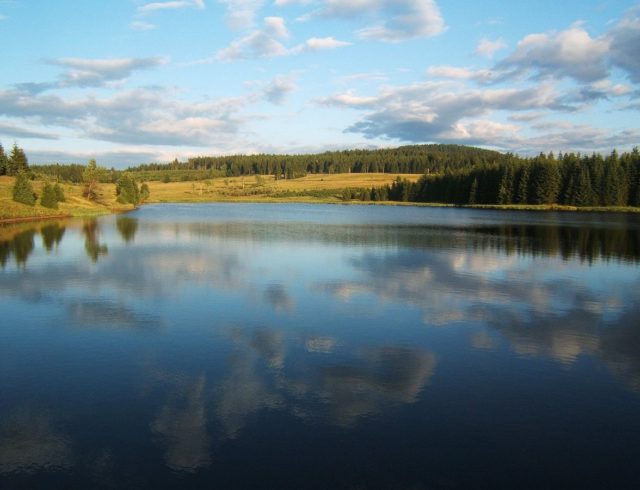Water reservoir near Myslivny in the Ore Mountains, Czech Republic. Photo Credit.