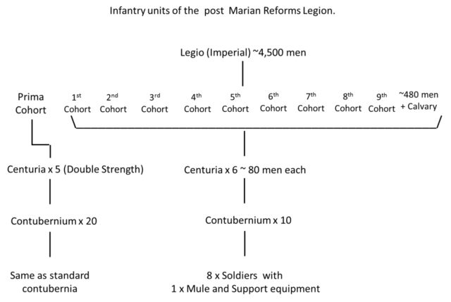 Visual representation of the post Marian Reform Legion showing size and disposition for Infantry formations. Image Credit.