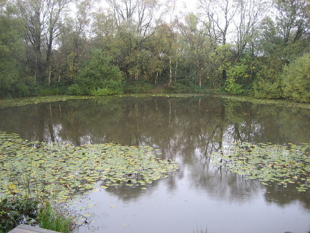 Lone tree crater, created by one of the explosions in 1917 (Wikipedia)