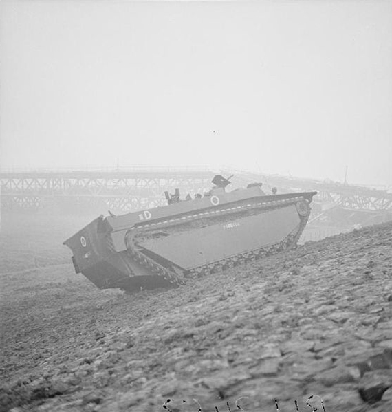 Buffalo_crossing_the_IJssel