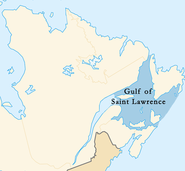 The Gulf of St. Lawrence has multiple possibilities for Viking settlements and Point Rosee extends right into the middle of the Gulf 