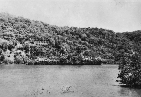 By Netherlands Indies Government Information Service - Australian War Museum.