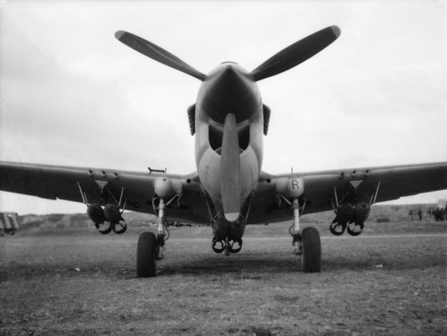 North Africa, c. 1943. A P-40 "Kittybomber" of No. 450 Squadron RAAF, loaded with six 250 lb (110 kg) bombs