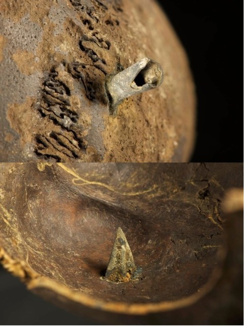 an image showing the outside and inside of the skull pierced by the bronze arrow