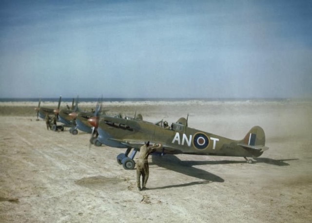Spitfires of the Royal Canadian Air Force in Tunisia, 1943. © IWM (TR 823)