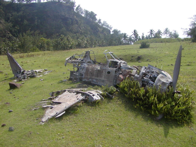 Wreck of a Mitsubishi AGM5 Zero in the grass