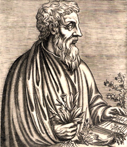 Dioscorides noted lead's effect on the mind in the first century A.D.