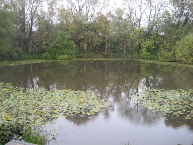 1465288329-6502-Lone-Tree-Crater-2009