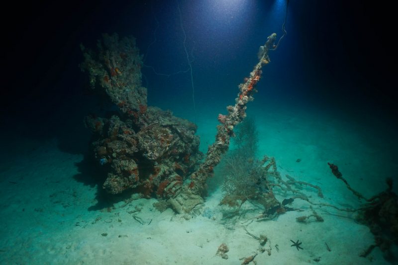 Wreckage of a U.S. Navy TBM-1C Avenger located by Project RECOVER off Palau. Photo: Eric Terrill, Mark Moline