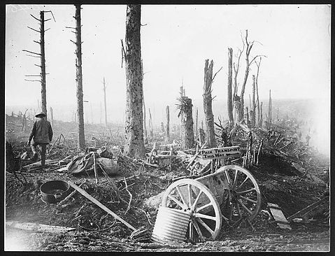 'Artillery stripped trees and a signboard pointing the way for pack transport'