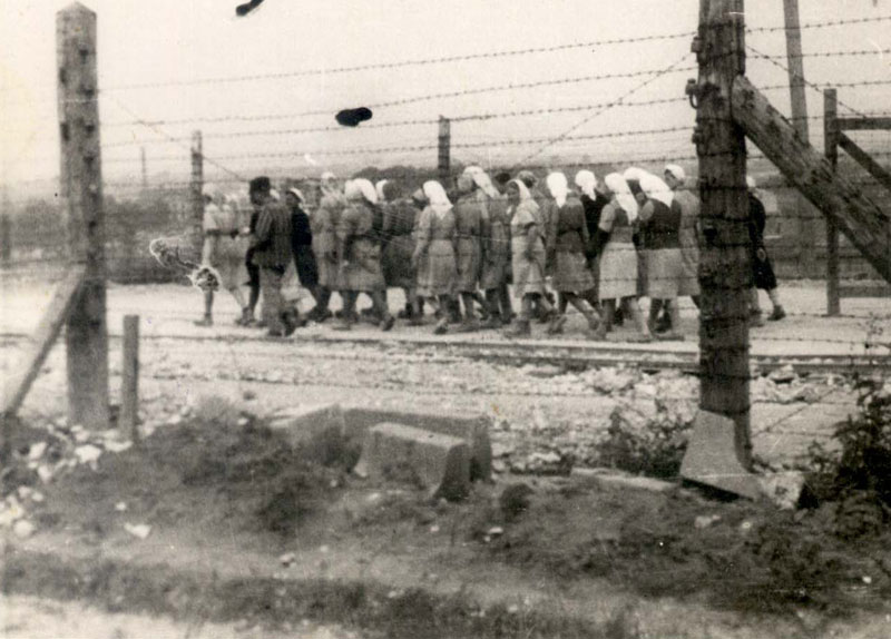 Female Jewish prisoners in the Plaszow camp on their way to forced labor. Probably photographed by Amon Goeth (16AO7) Source: Yad Vashem