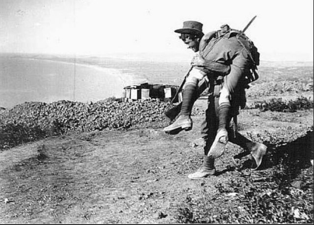 An Australian soldier carrying a comrade across his shoulders at Gallipoli