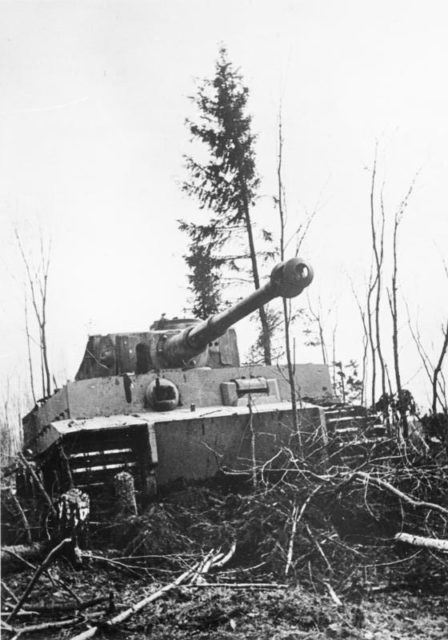 German Tiger of the 502nd Heavy Panzer Battalion near Leningrad, circa 1942 [Bundesarchiv, Bild 146-1981-071-07A / CC-BY-SA 3.0]