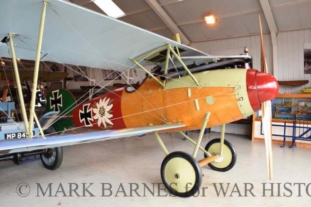 This gorgeous Albatros was going nowhere in the strong winds.