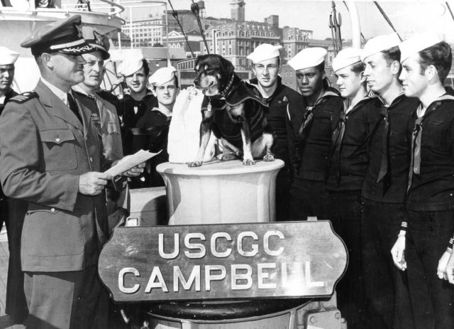 Sinbad's official retirement ceremony from the Campbell. After 11 years at sea the little pup was ready for the relaxing life of a shore station's mascot. Source: USCG.mil/public domain.
