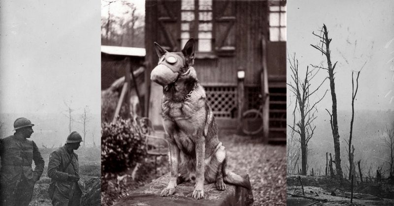 Background: French soldiers in trenches. Centre: Dog with a gas mask, c.1916 ♪_Lisa_♪ CC BY 2.0 (remixed)