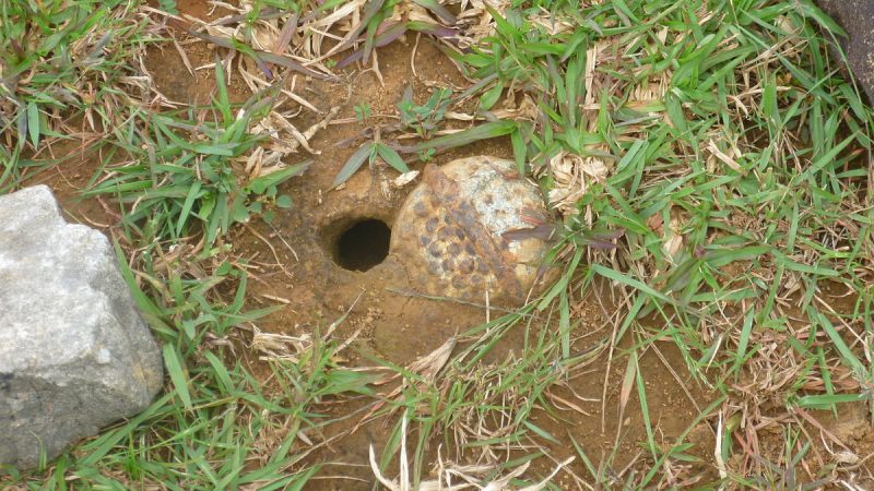 Unexploded bomb in Laos. Seabifar / Wikipedia / CC BY-SA 3.0